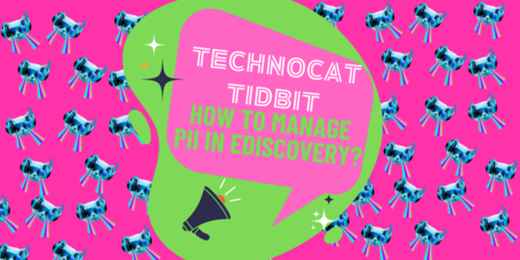 technocat tidbits on How to Manage PII in eDiscovery